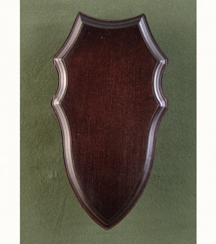 Podložka pod trofej č.323